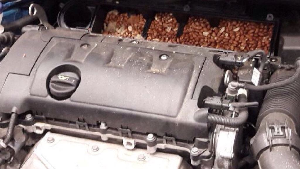 Cómo cambiar el filtro de aire del motor del coche
